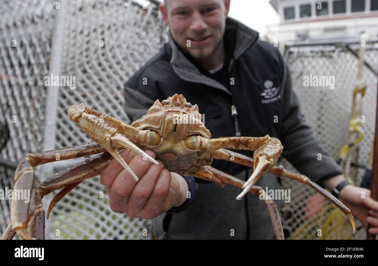 Deckhand Josh Stedman of Westport, Washington, with a snow crab from