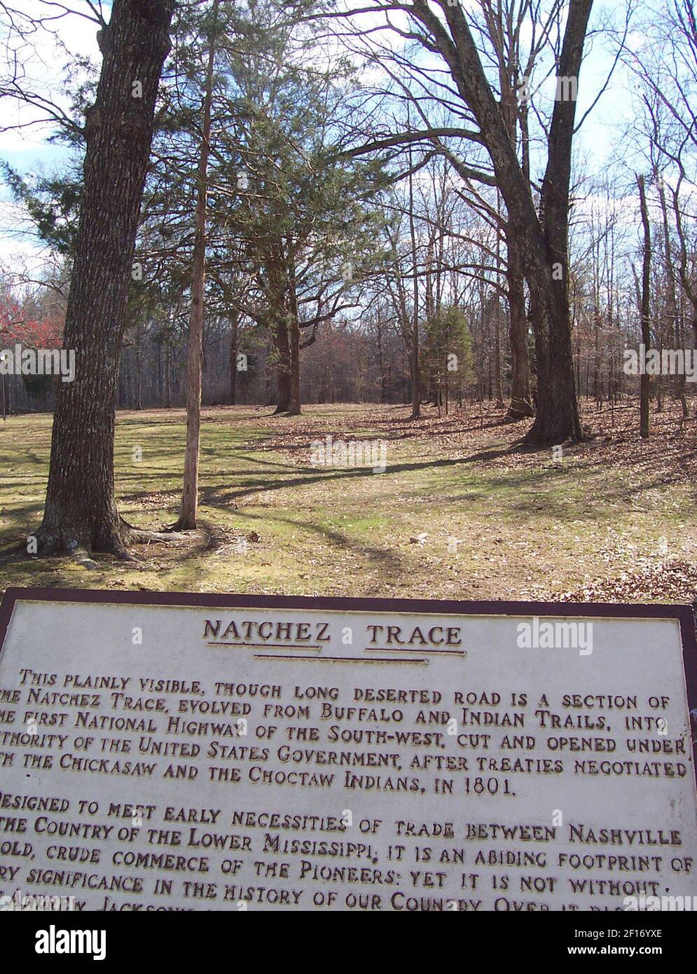 An informational describes a still visible section of the Natchez Trace