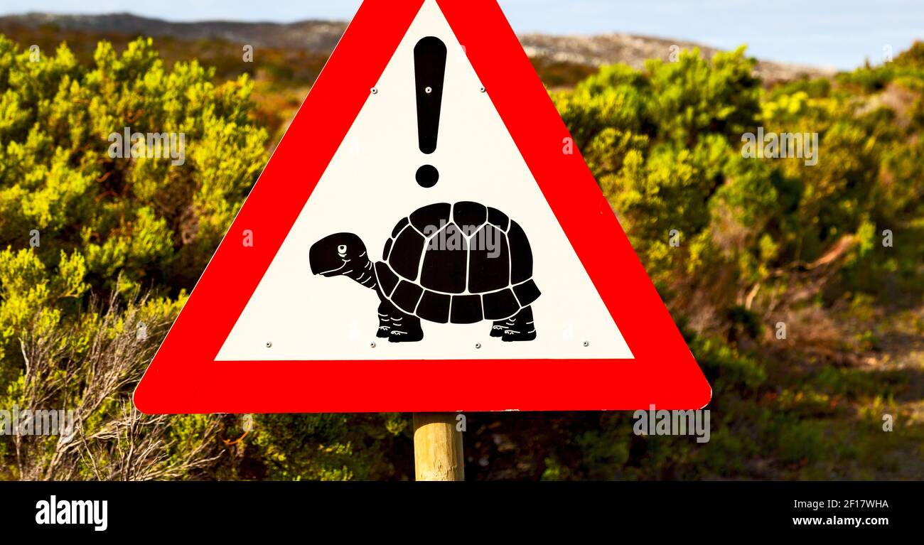In south africa close up of the turtle sign Stock Photo - Alamy