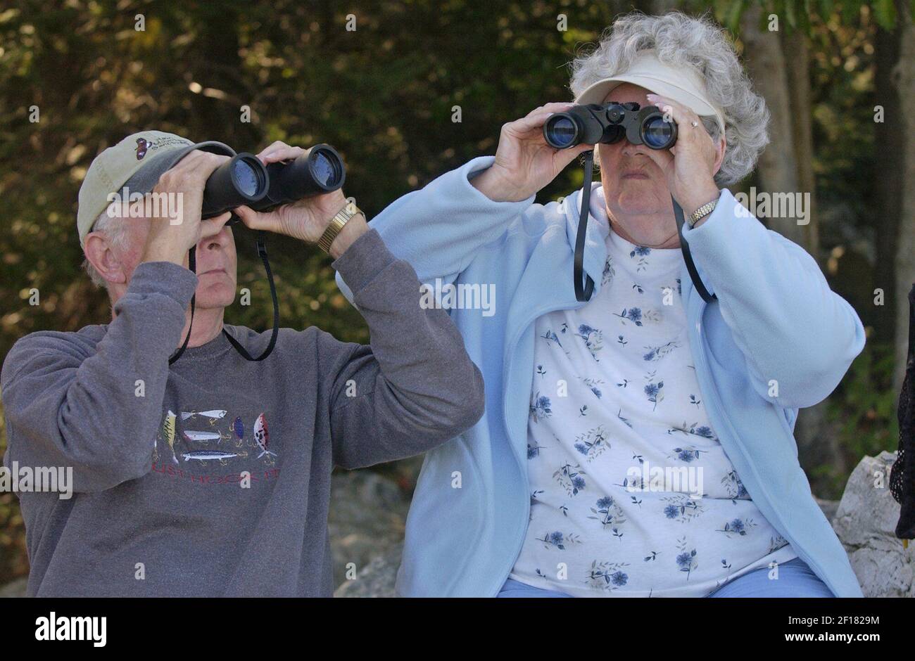 KRT US NEWS STORY SLUGGED ENVBALDEAGLES KRT PHOTOGRAPH BY MICHAEL