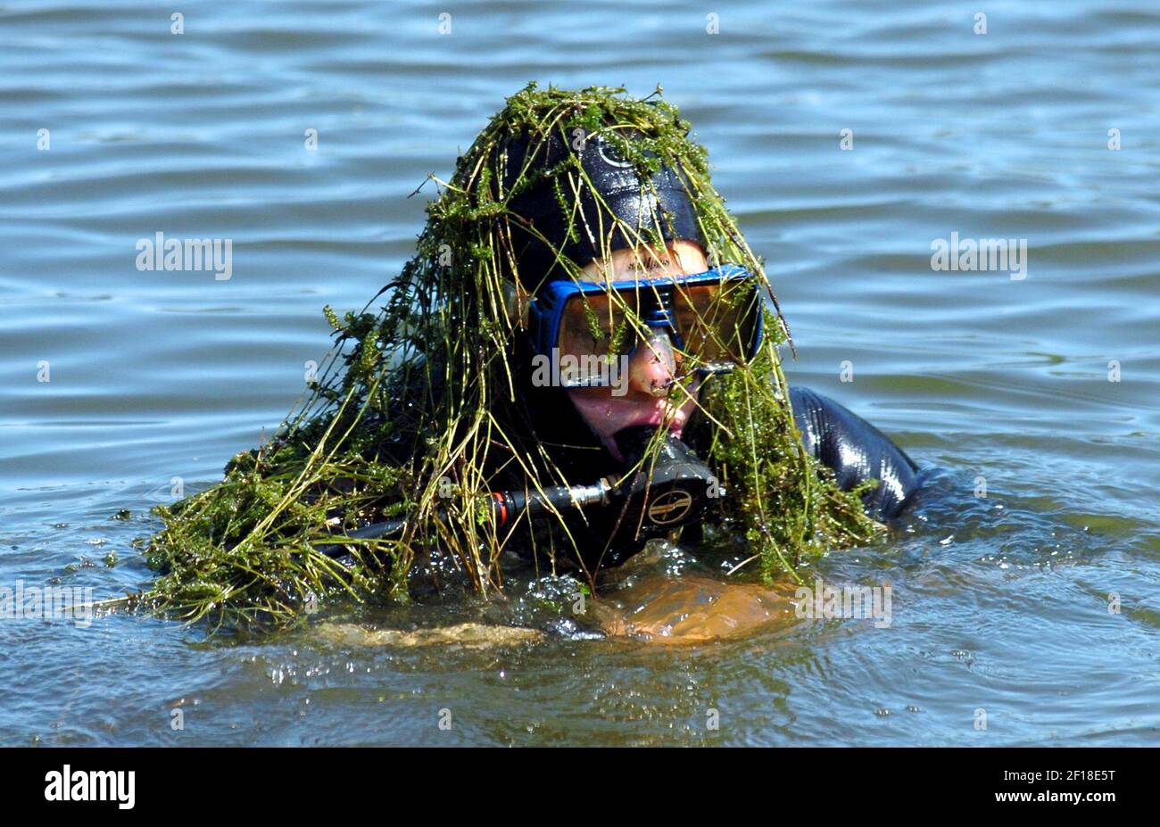 KRT SPORTS STORY SLUGGED: GLF-GOLFDIVER KRT PHOTOGRAPH BY BEN GARVIN/ST.  PAUL PIONEER PRESS (August 3) Covered in weeds, golfball diver Scott Lokken  comes up to check his location in a pond at