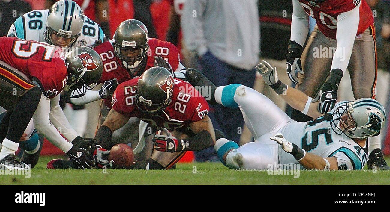 NFL Carolina Panthers Football Bank of America Stadium, Patrick Schneider