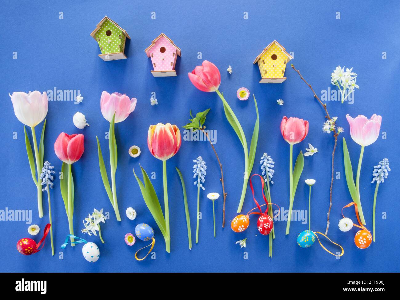 Colorful spring flowers on blue Stock Photo - Alamy