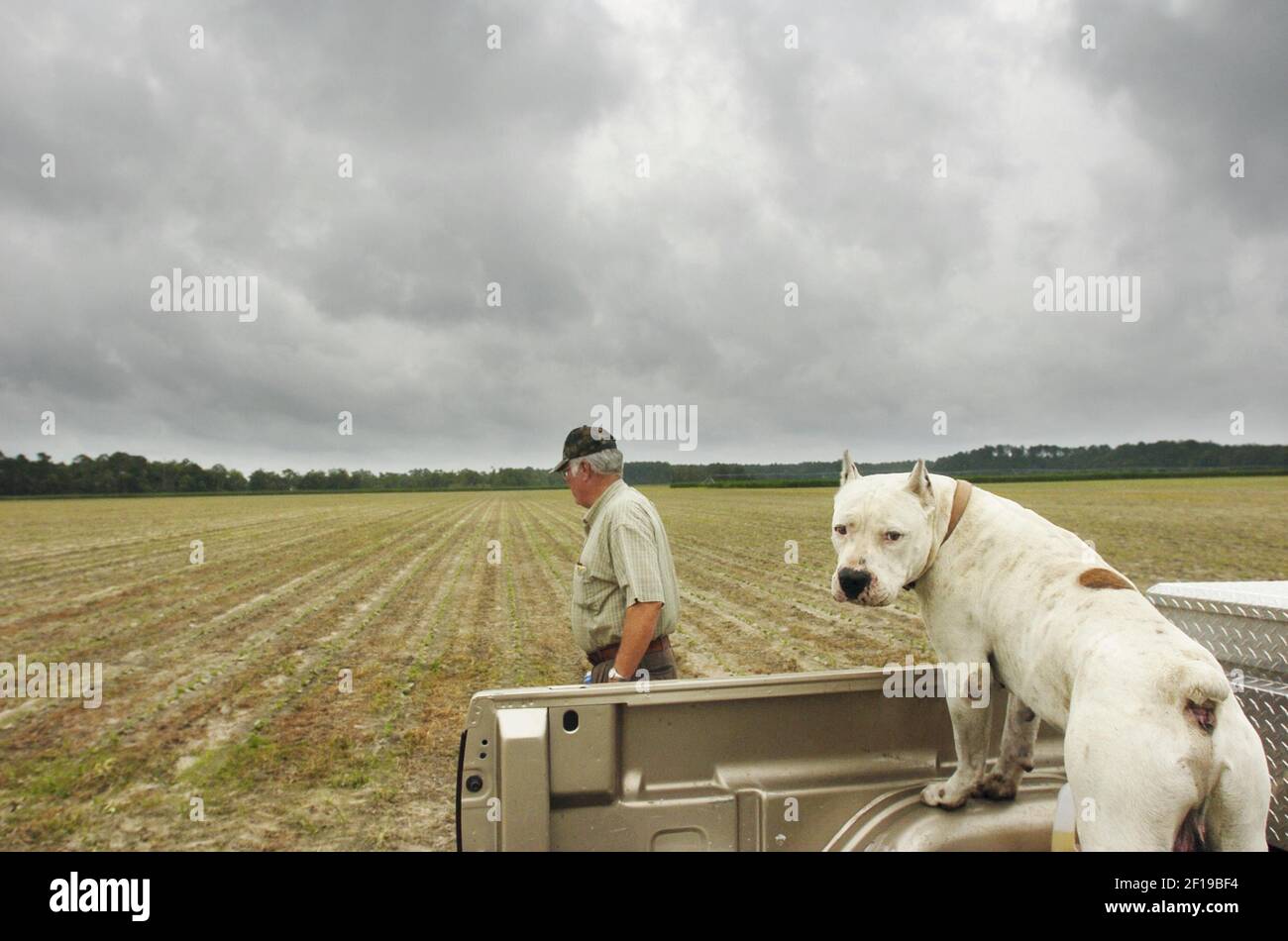 KRT US NEWS STORY SLUGGED KRT PHOTOGRAPH BY