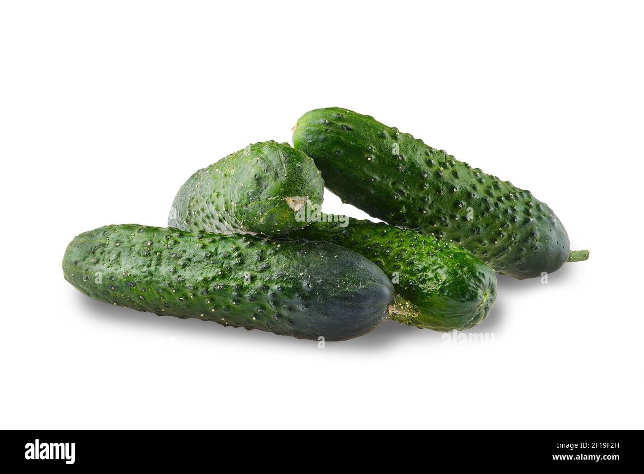 Fresh Raw Mini Cucumber Isolated On White Stock Photo - Download