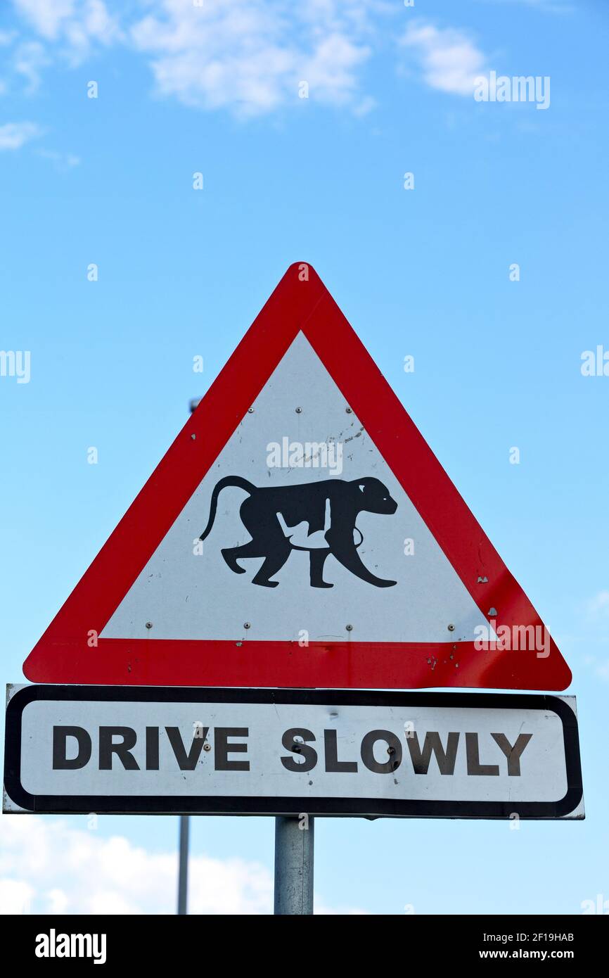 Monkey crossing sign hi-res stock photography and images - Alamy