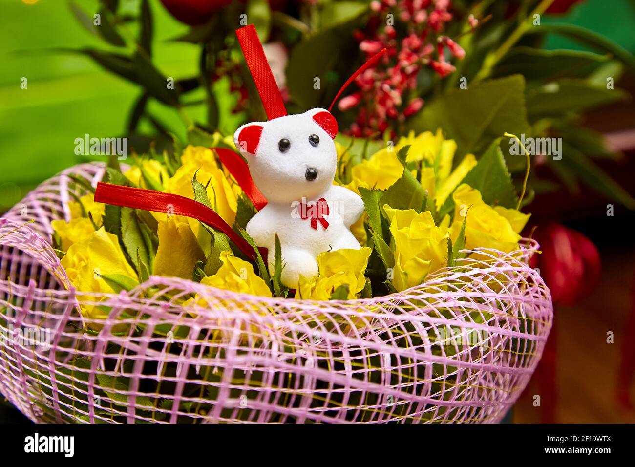 Teddy white bear holding yellow rose flowers Stock Photo Alamy