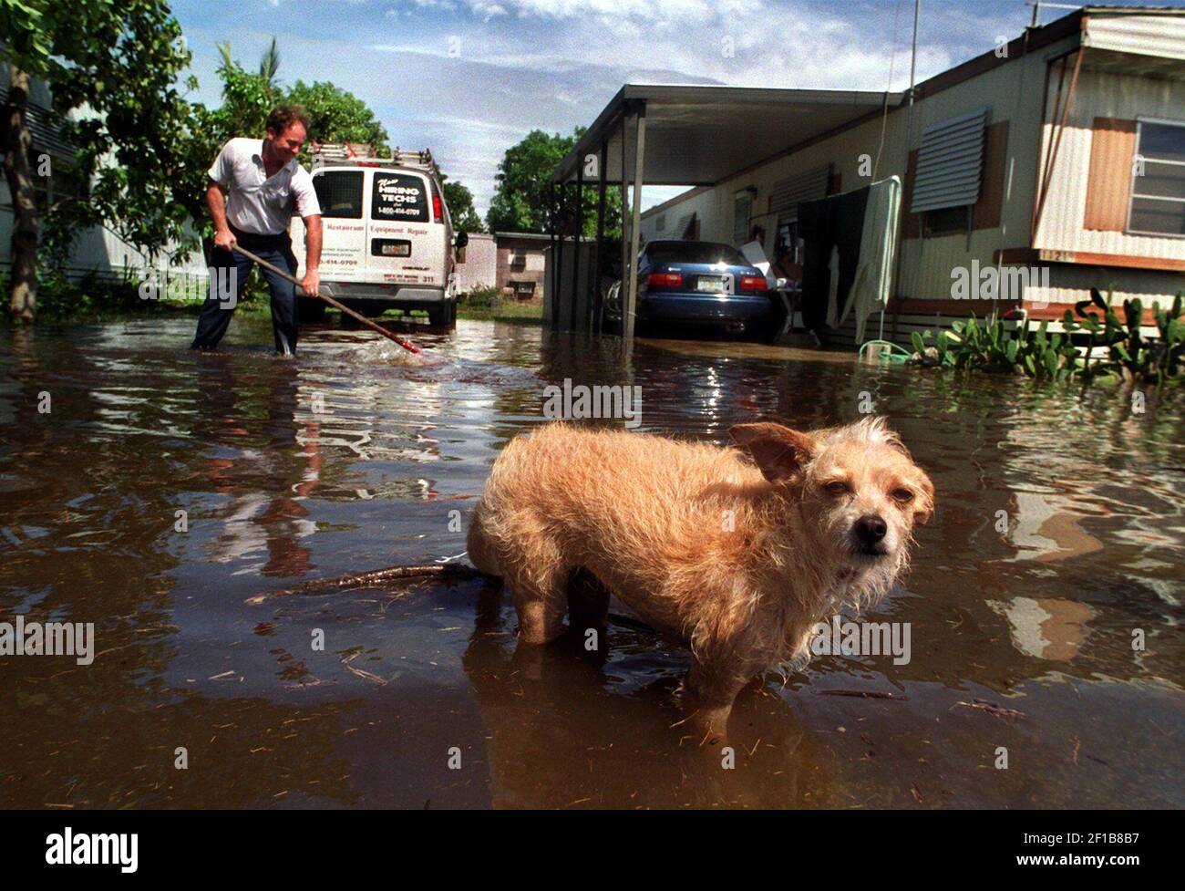 KRT US NEWS STORY SLUGGED IRENE KRT PHOTO BY PETER ANDREW BOSCH