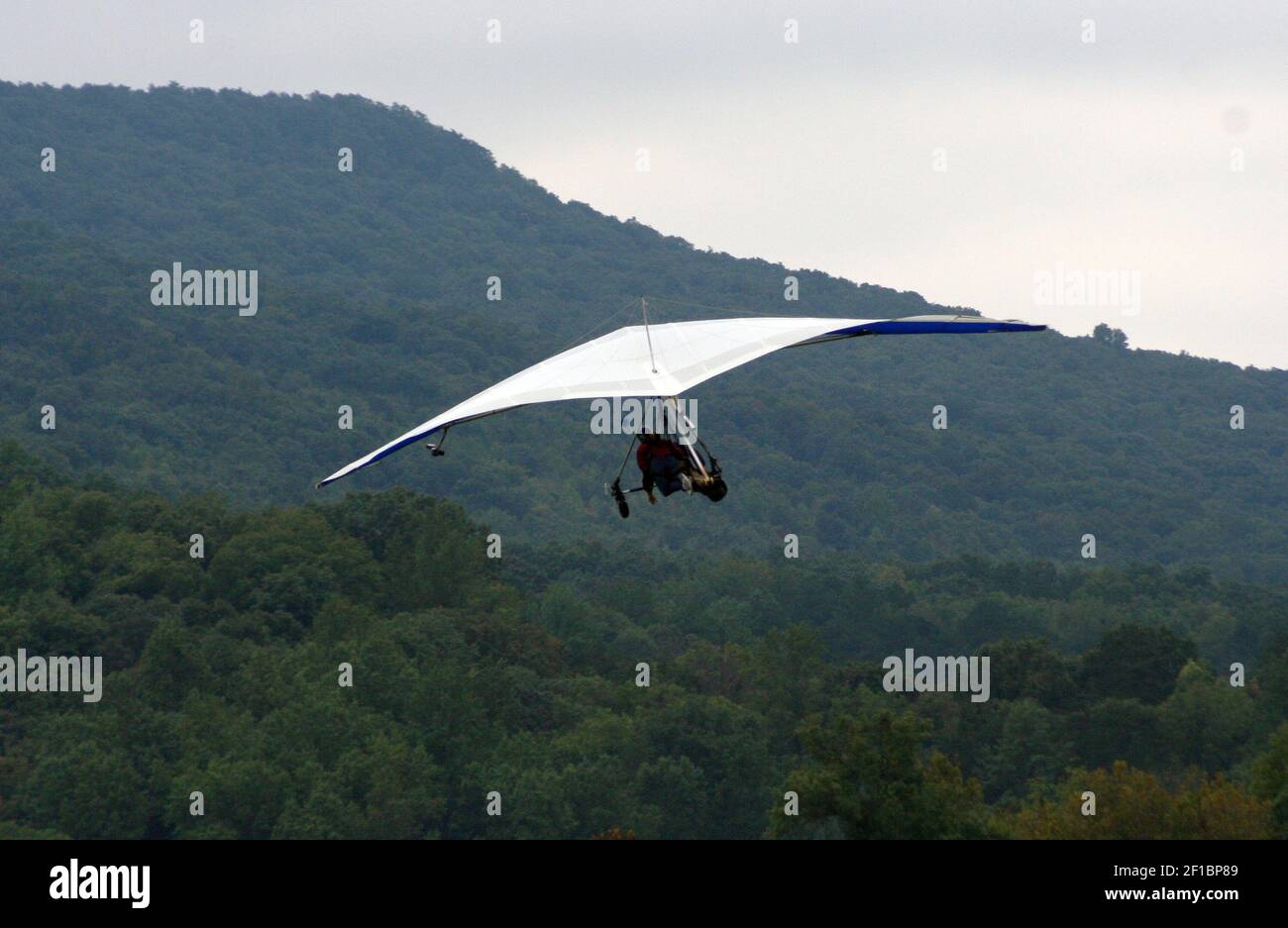 The hang glider looks much like an oversized kite as Mary Ann Anderson
