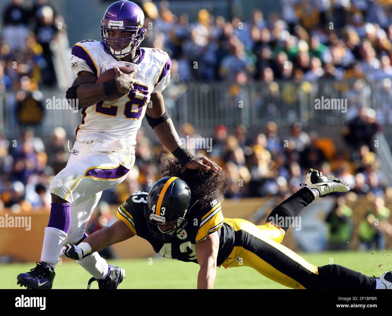 Pittsburgh Steelers safety Troy Polamalu (43) tackes Minnesota Vikings  running back Adrian Peterson (28) during fourth-quarter action. The Steelers  defeated the Vikings, 27-17, at Heinz Field in Pittsburgh, Pennsylvania,  Sunday, October 25,