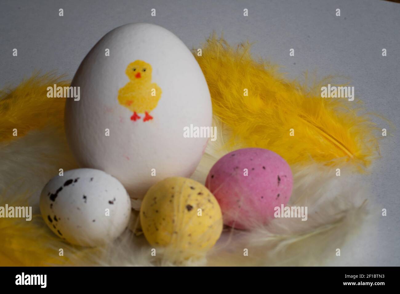 Fun eggs for Easter holiday. One organic egg with a cute yellow chicken painted on it with chocolate Easter eggs in various colors infront of it. Stock Photo