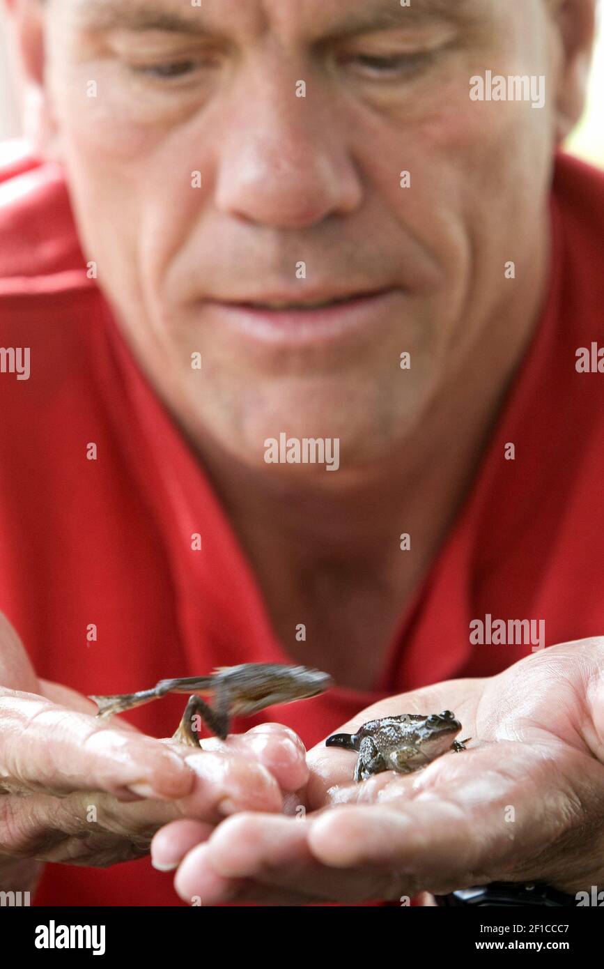 Harry Greer, an inmate at Cedar Creek Corrections Center south of Olympia, tends to 9-week-old Oregon spotted frogs, June 16, 2009. The inmates' frogs are bigger than those being raised at other sites in the project because the inmates have time to look at them every two hours and feed them at a higher rate, according to the project's senior research scientist. (Photo by Mike Siegel/Seattle Times/MCT/Sipa USA) Stock Photo