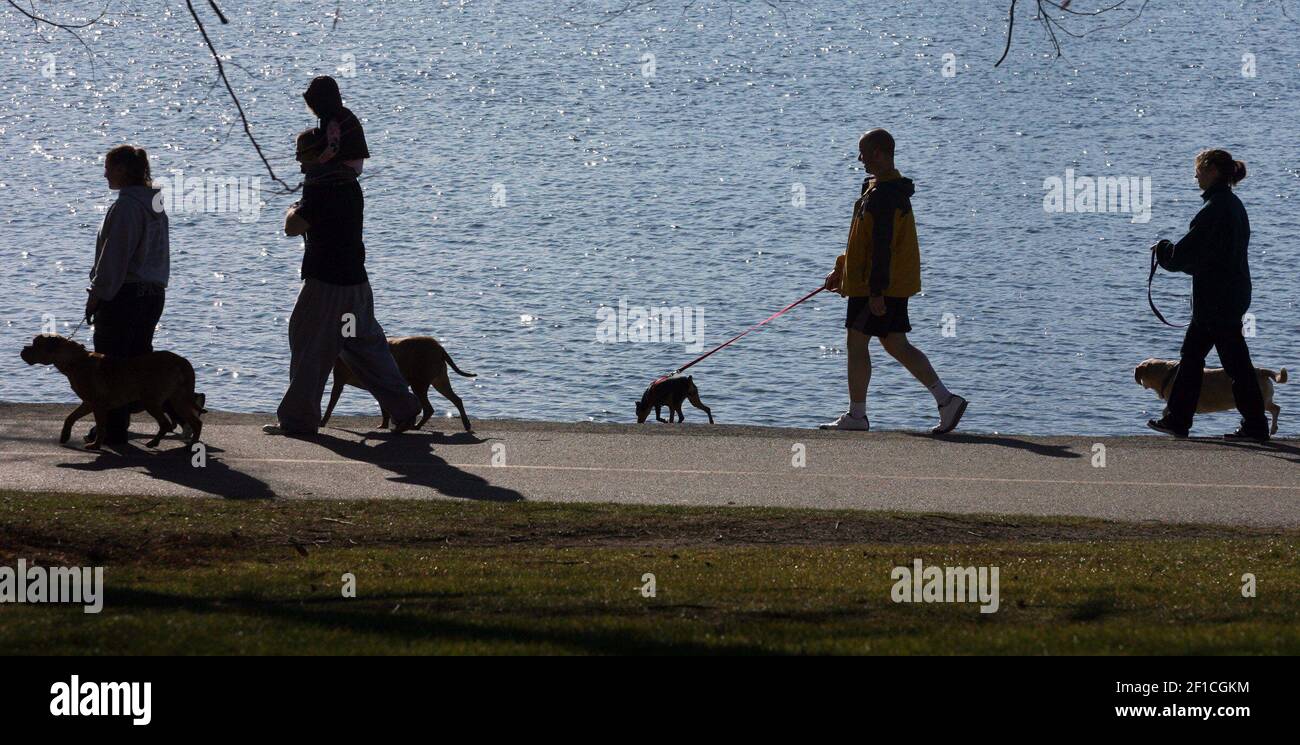 Dogs and their walkers often enjoy their exercise together at Green