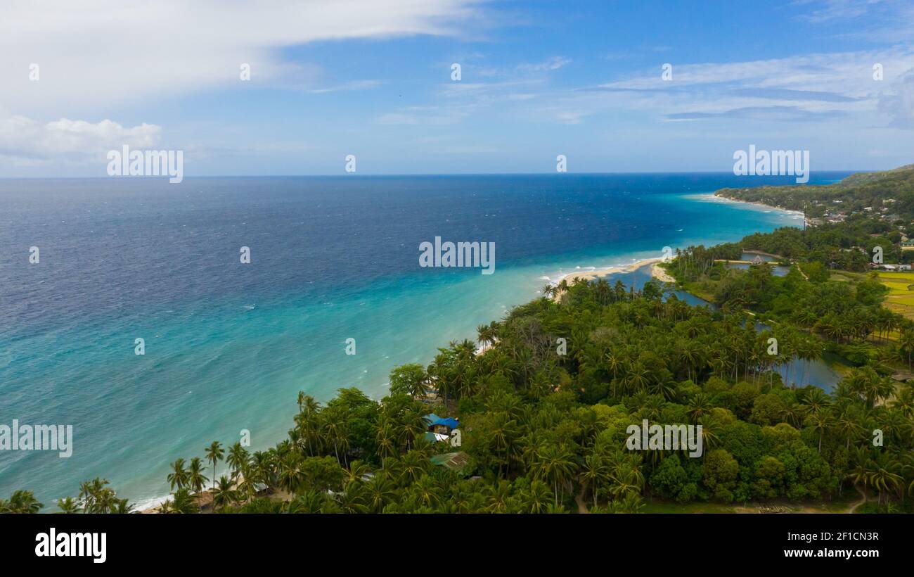 Tropical beach with sea and palm. Beautiful beach and tropical sea ...