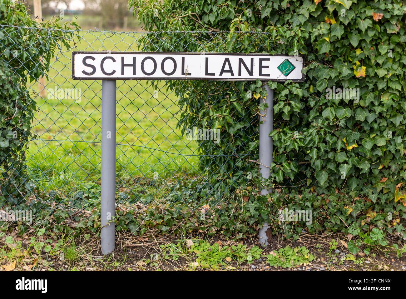 School Lane street sign in Orsett, Essex, UK. Leading to Orsett Church of England primary school. Village school Stock Photo