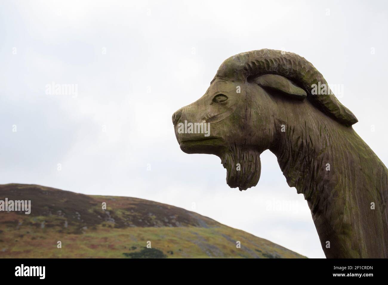 Goat head carving on signpost, site of Ad Gefrin Anglo-British settlement, North Cheviot hills, Northumberland Stock Photo