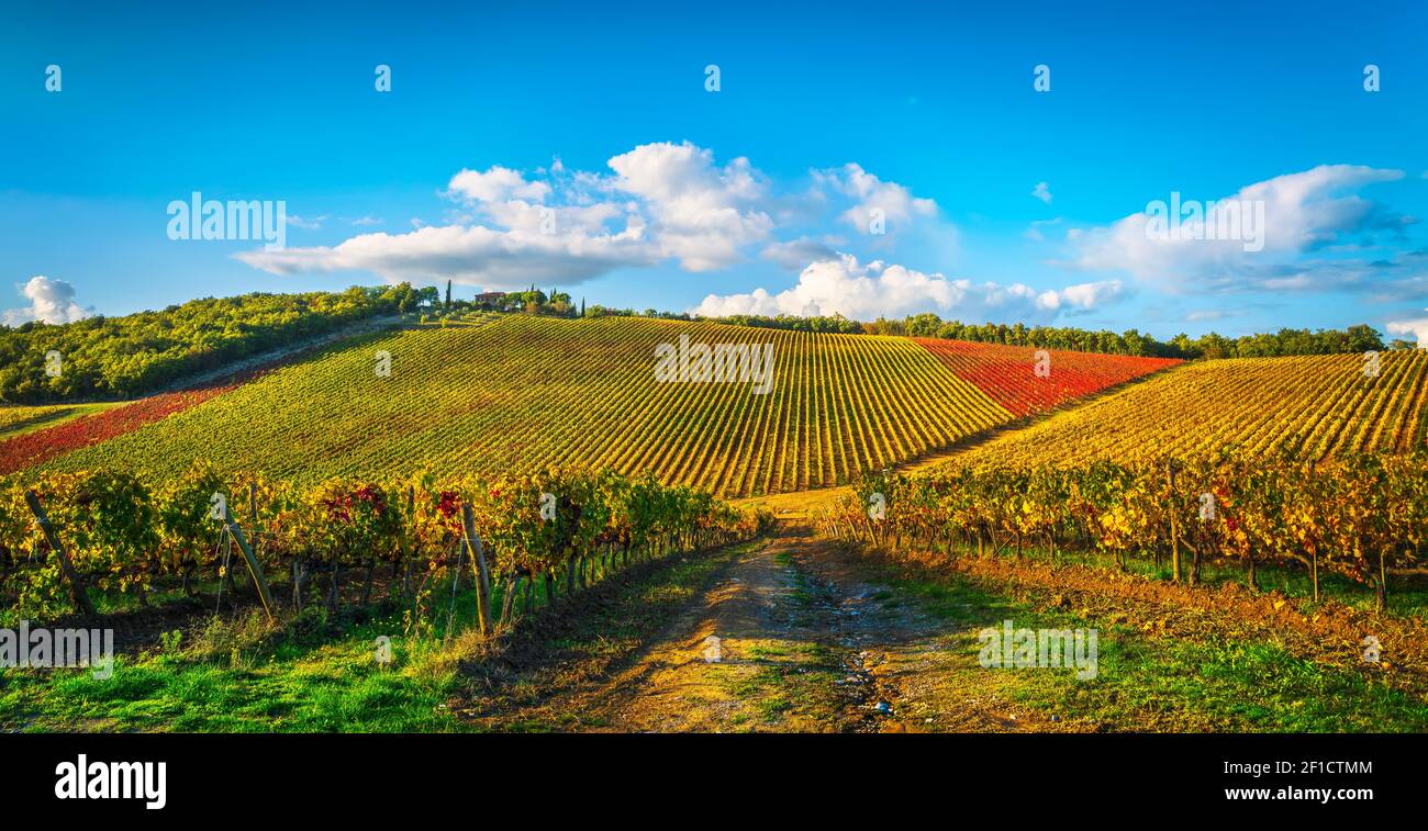 Gaiole in Chianti vineyard and panorama at sunset in autumn. Tuscany, Italy Europe. Stock Photo