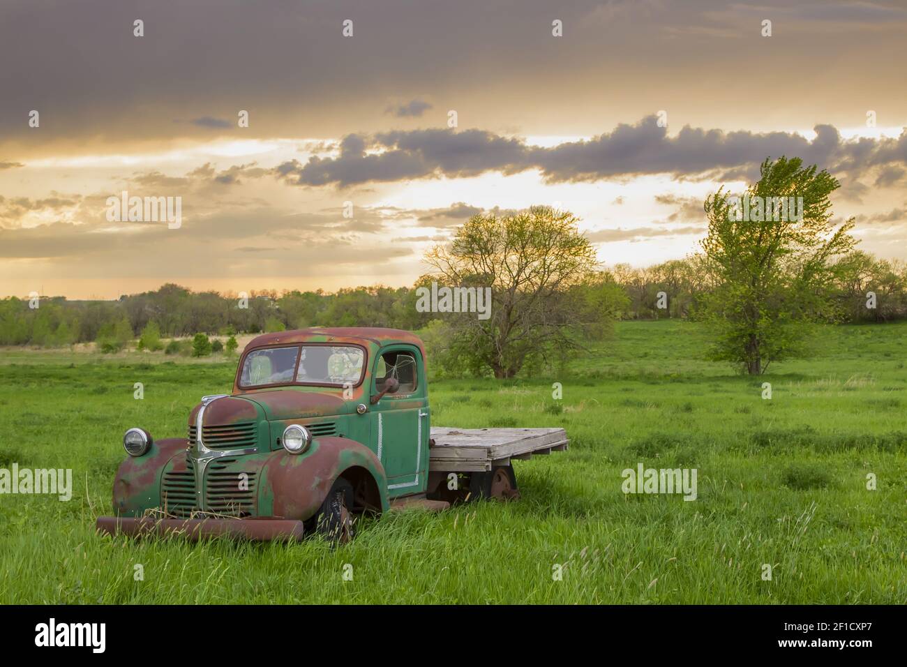 Car in a field hi-res stock photography and images - Alamy