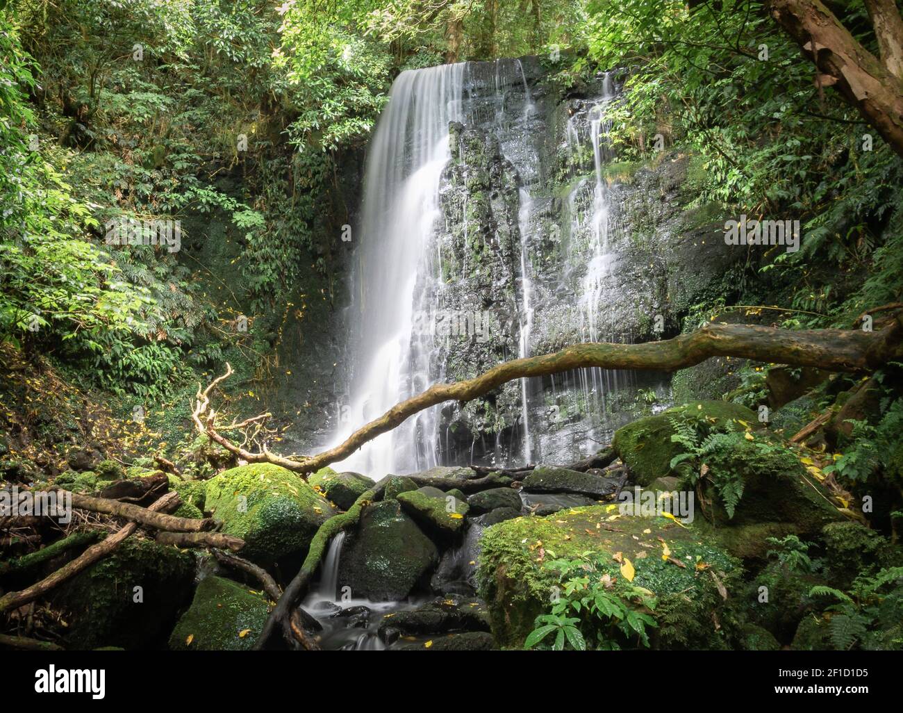 Beautiful small waterfall surrounded by forest. Shot made at Matai Falls in Catlins Forest Park, New Zealand Stock Photo