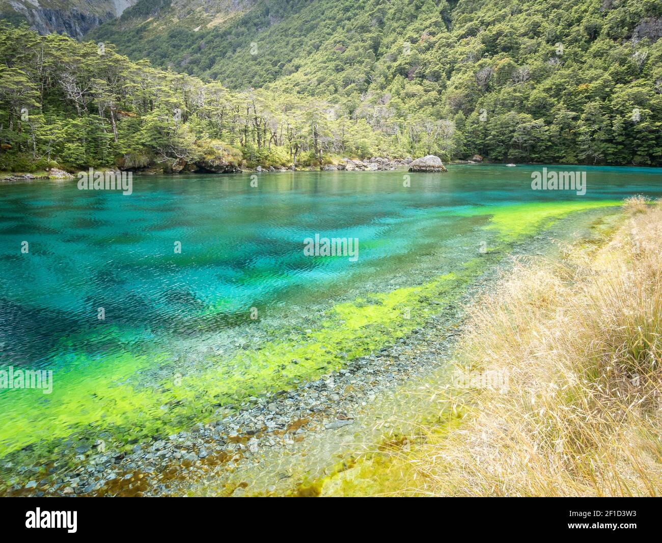 Crystal clear lake with amazing colours, shot at Nelson Lakes National
