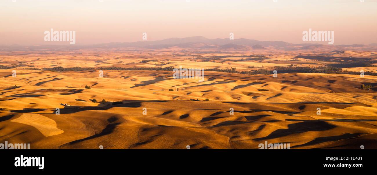 Rolling Hills Agricultural Land Palouse Region Eastern Washington Stock