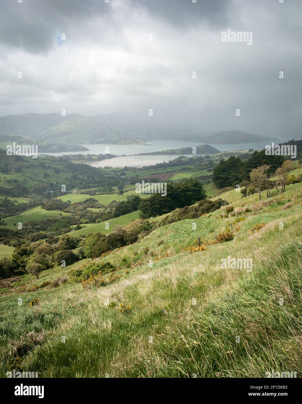 Storm approaching a valley with green rolling hills, portrait shot made on Banks Peninsula near Christchurch, New Zealand Stock Photo