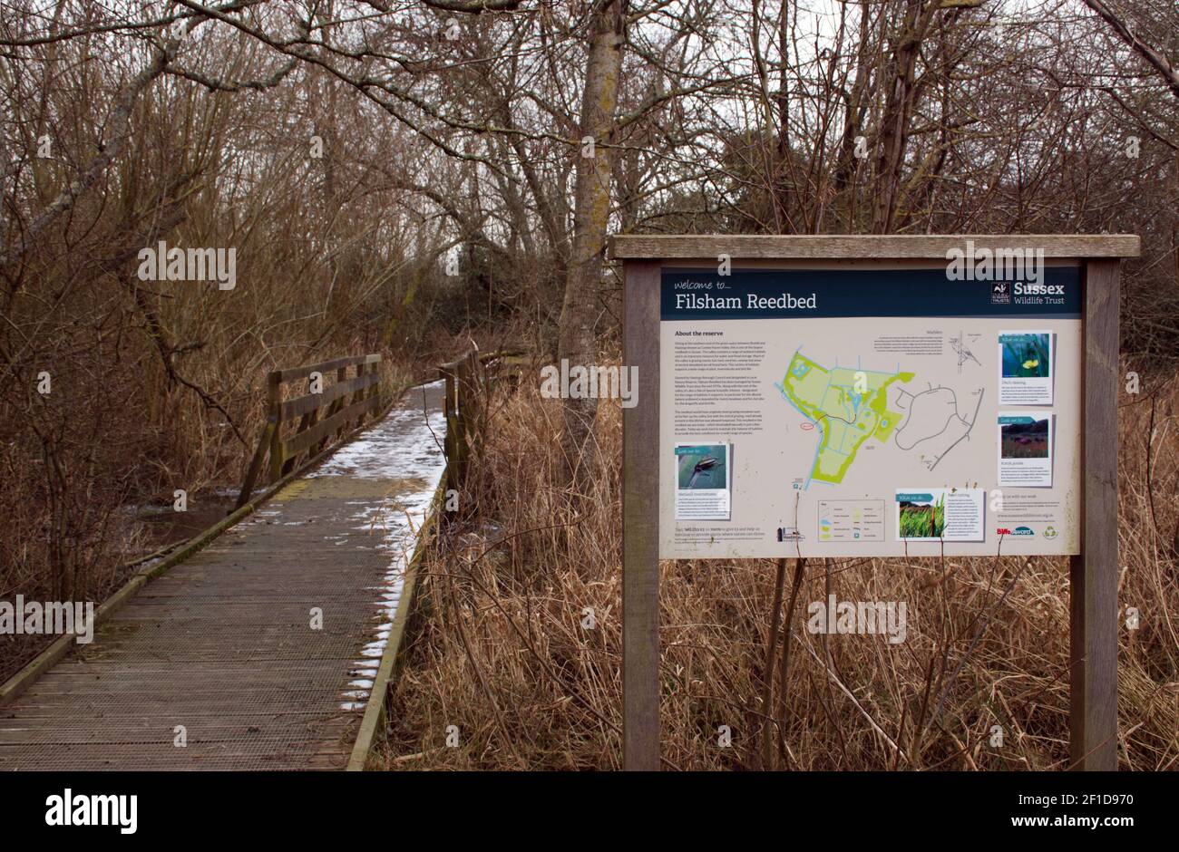 Filsham reedbeds nr hires stock photography and images Alamy