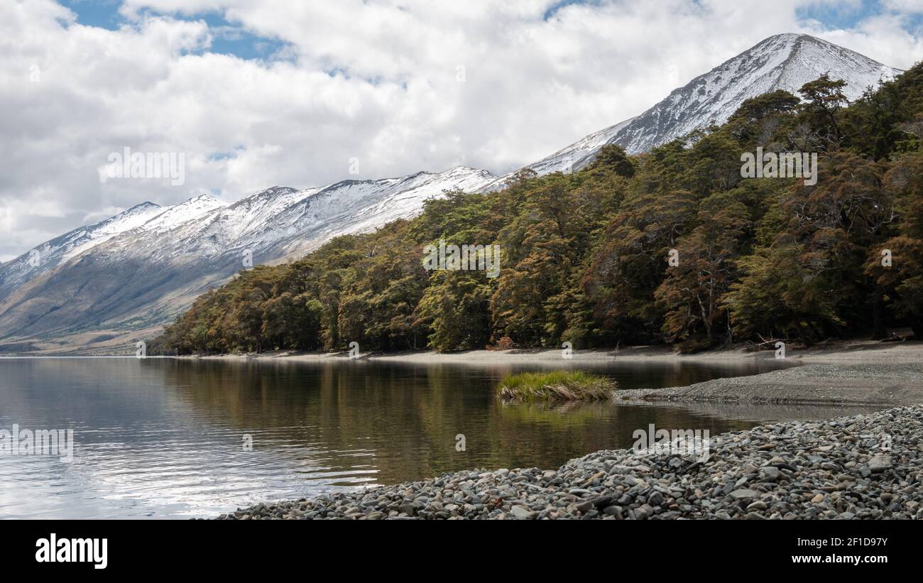 Crystal clear shoreline detail with forest and mountains shot at Mavora Lakes, New Zealand Stock Photo