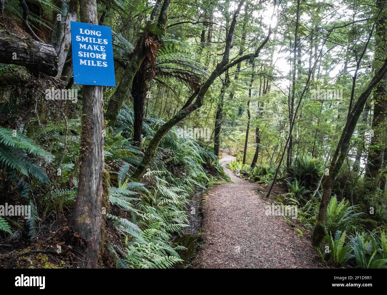 Path leading through dense jungle/forest with motivational message on sign next to track. Kepler Track, Fiordland National Park, New Zealand Stock Photo