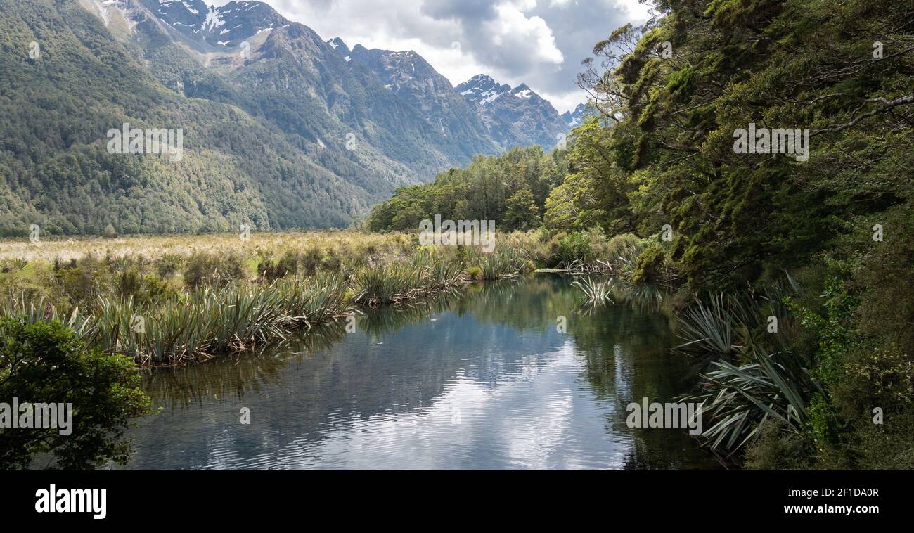 Small lake view framed by trees on the right and mountains on the left. Photo taken at Mirror Lakes in Fiordland National Park, New Zealand Stock Photo