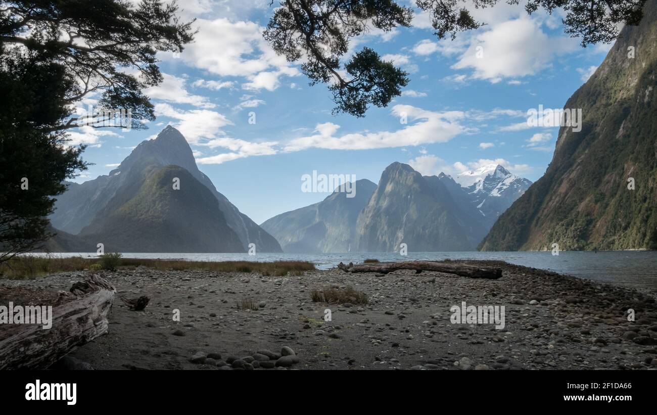 Fjord Landscape Framed By Tree Branches During The Sunny Day Photo Taken In Milford Sound Fiordland National Park New Zealand Stock Photo Alamy