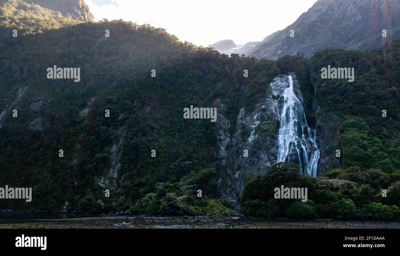 Backlit photo of waterfall surrounded by green cliffs. Location is Lady Bowen Falls located in Milford Sound, Fiordland National Park, New Zealand Stock Photo