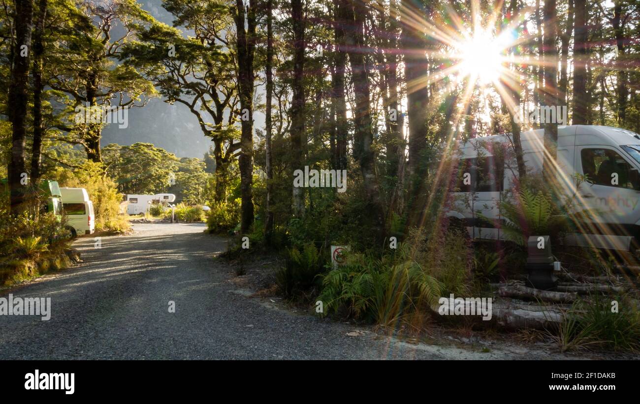 Sun star shot of campsite located in woods with camper vans, RVs and gravel path leading through frame. Photo taken in Milford Sound, Fiordland NP Stock Photo