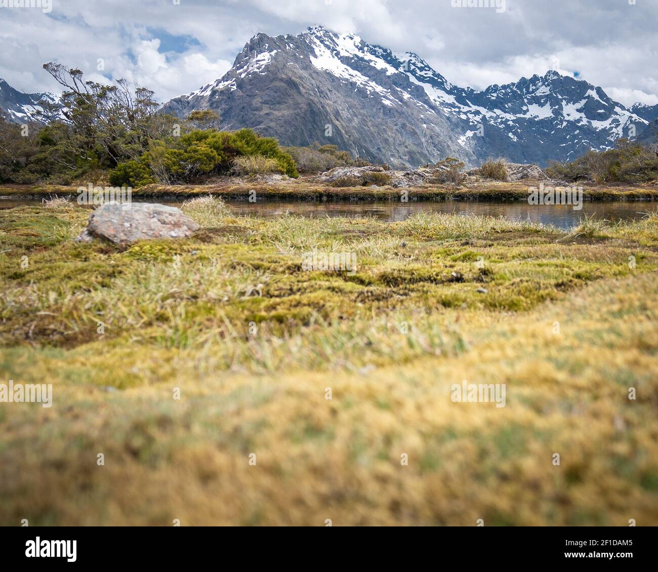 View on mountain peaks shrouded by clouds with dry grasses and small pond in foreground. Shot on Routeburn Track, New Zealand Stock Photo