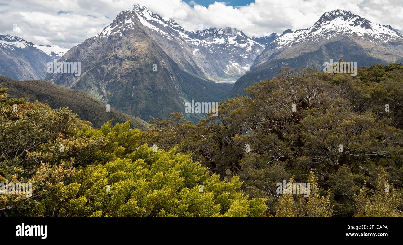 Views on mountain peaks with trees in foreground. Shot on Routeburn Track, New Zealand Stock Photo