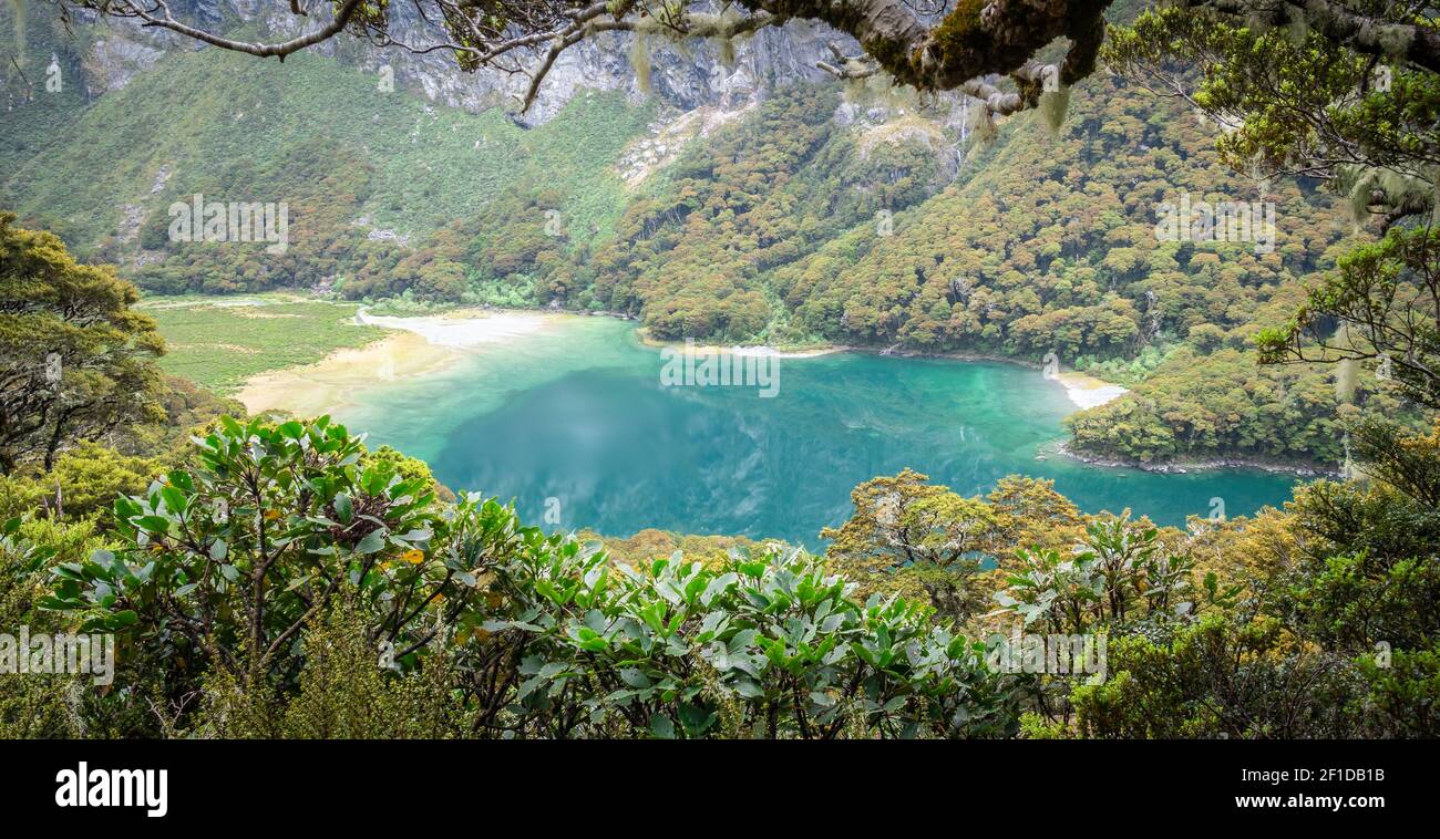 Beautiful turquoise alpine lake framed by tree branch and foliage. Shot on Routeburn Track, New Zealand Stock Photo