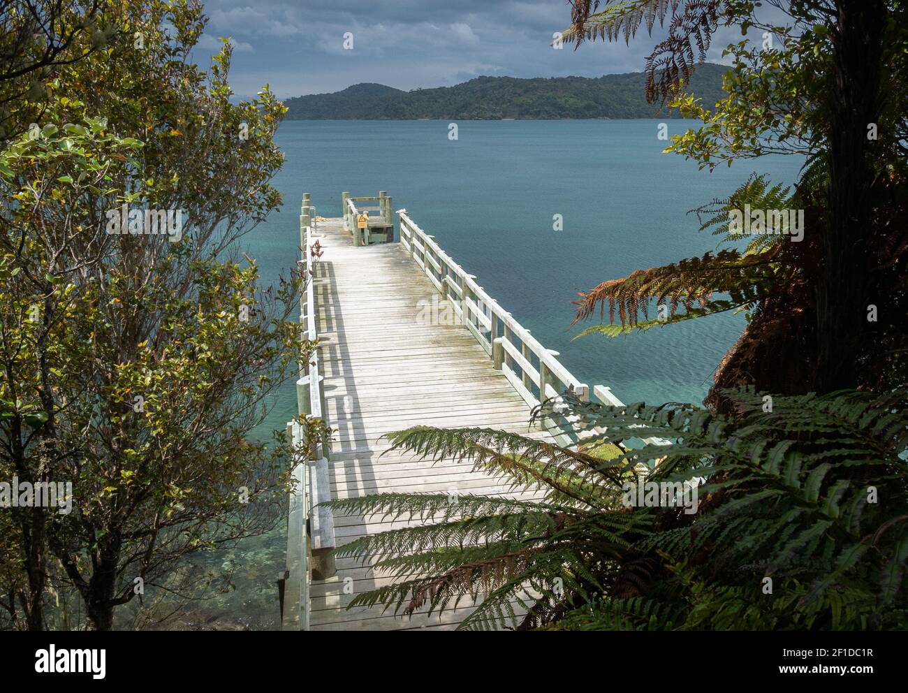 White wooden pier framed by jungle foliage. Shot made on Stewart Island (Rakiura), New Zealand Stock Photo