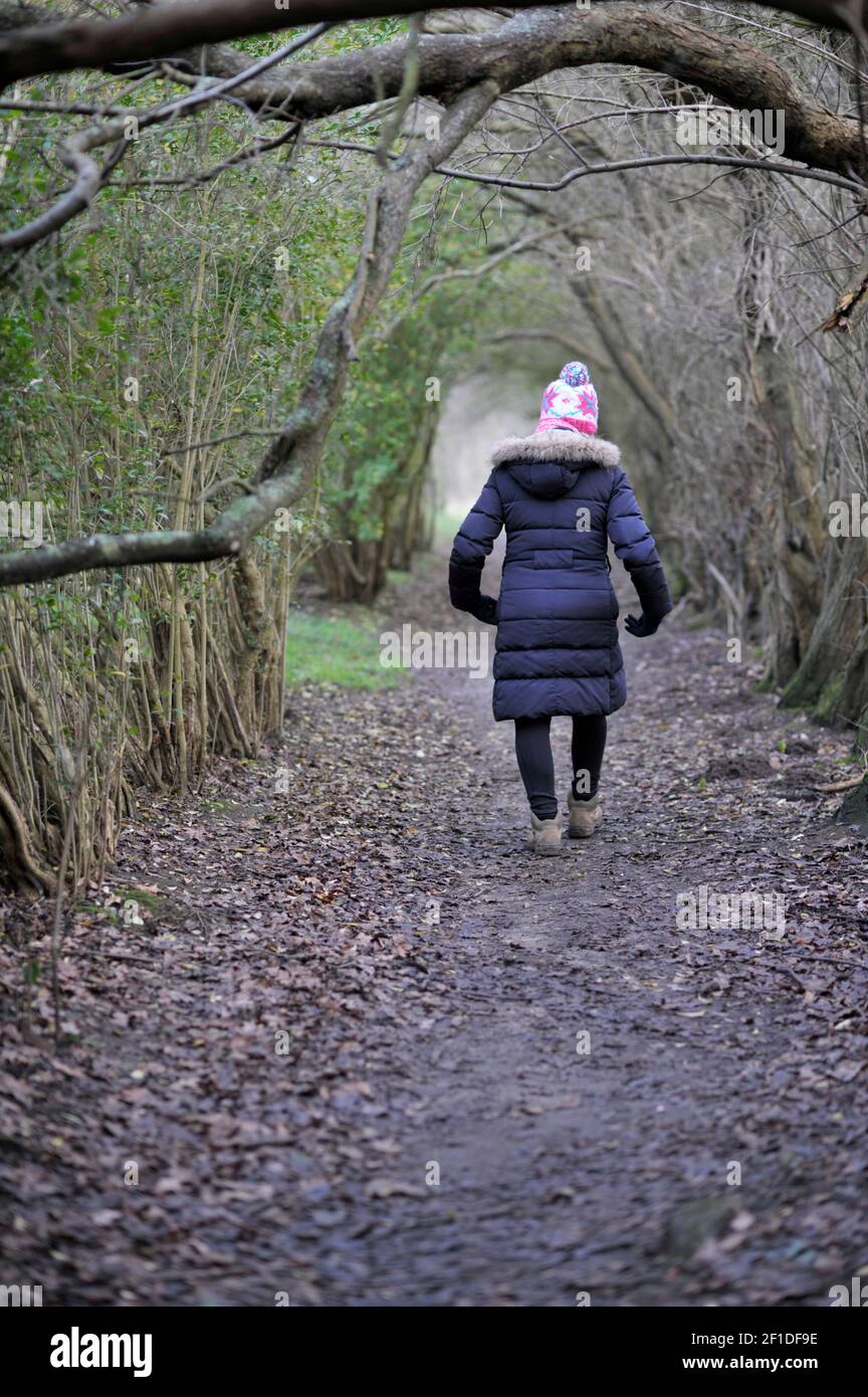 older lone women walking along tree line country path Stock Photo - Alamy
