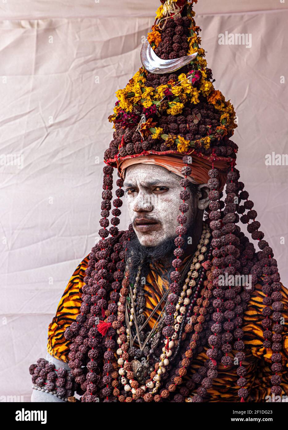 portrait of naga sadhu at kumbh mela.kumbh is the largest congregation on the earth. Stock Photo