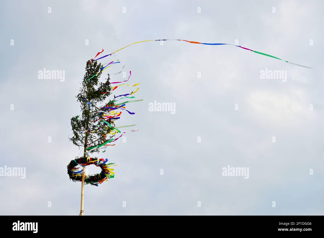 Maypole on a cloudy sky. Traditional European symbol of spring festivities. Tree trunk decorated with colorful ribbons. Stock Photo