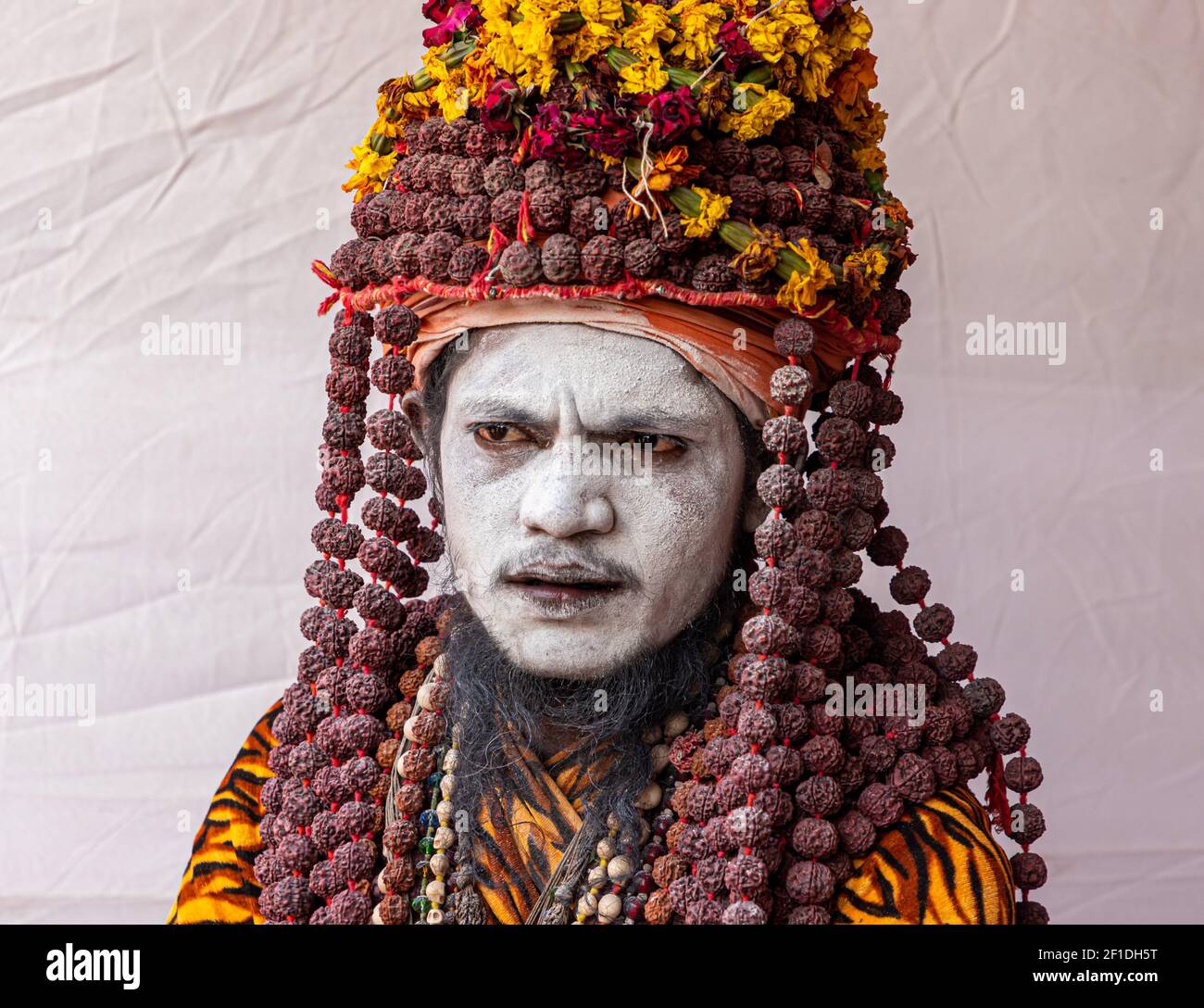 portrait of naga sadhu at kumbh mela.kumbh is the largest congregation on the earth. Stock Photo