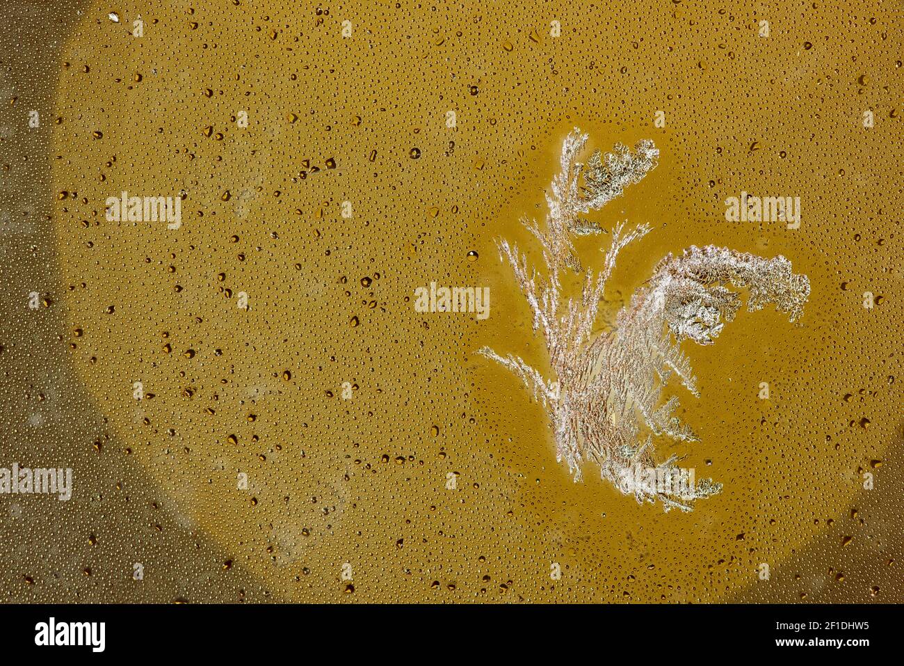 Ice crystals forming on a glass plate. Ice flowers on a yellow circle of light. Frost on the glass. Abstract background with shining sun, tiny water d Stock Photo