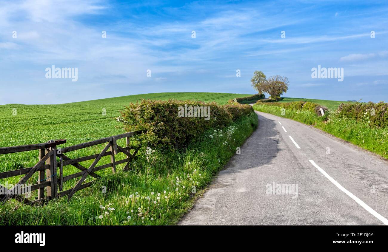 Farm fields along a country road in rural Stock Photo - Alamy