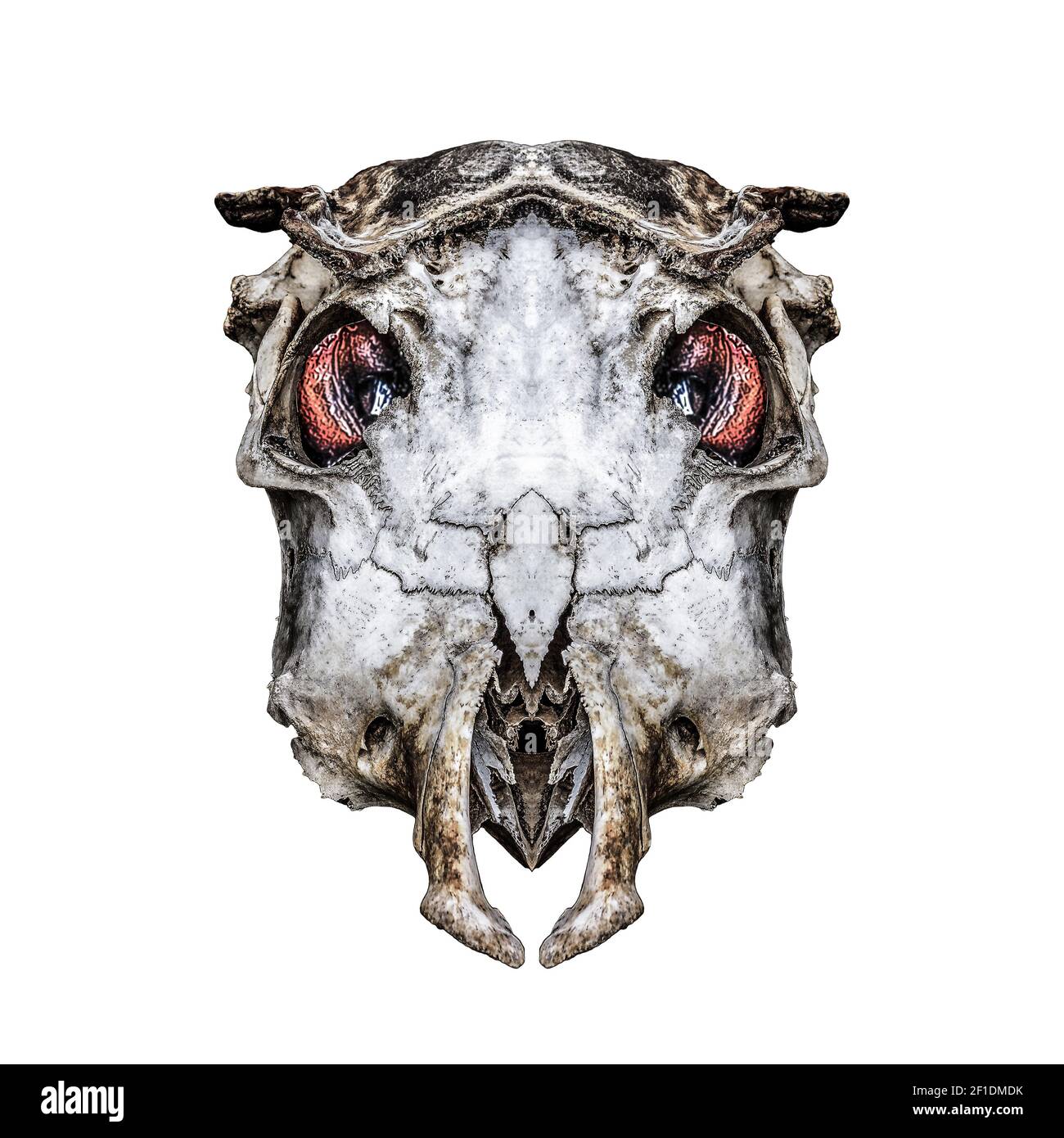 Isolated Creepy Alien HeadBones Artwork Stock Photo
