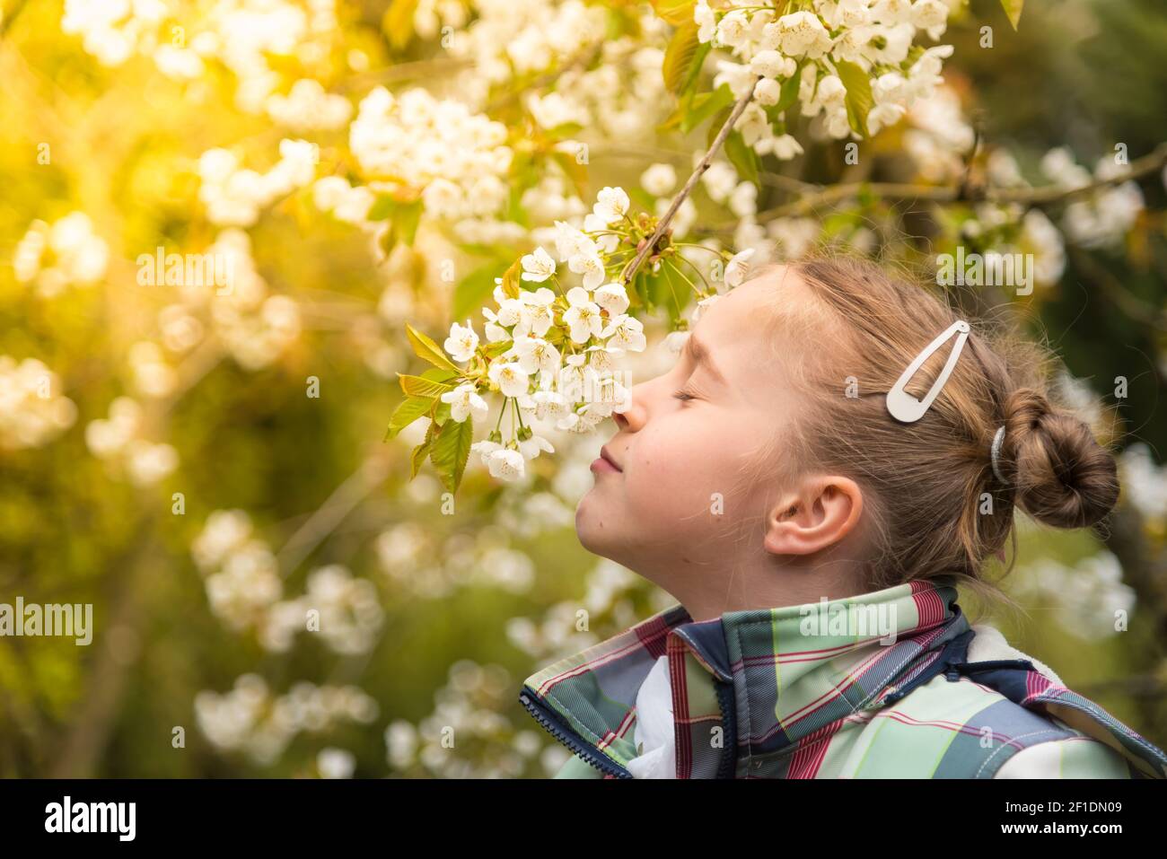 A day in spring Stock Photo