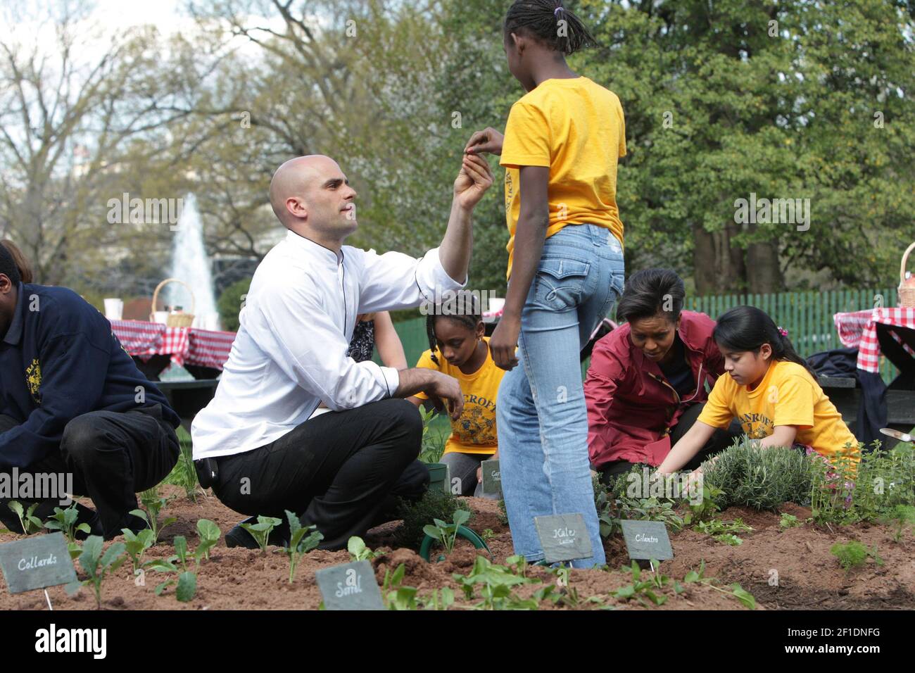 Sam Kass, assistant White House chef, shows Bancroft Elementary School students how to plant seedlings and small plants for the White House Kitchen Garden on April 9, 2009 in Washington, D.C. At the White House, Sam Kass' work has ranged from helping establish a vegetable and herb garden to brewing up a few beers. (Photo by Nancy Stone/ Chicago Tribune/TNS/Sipa USA) Stock Photo