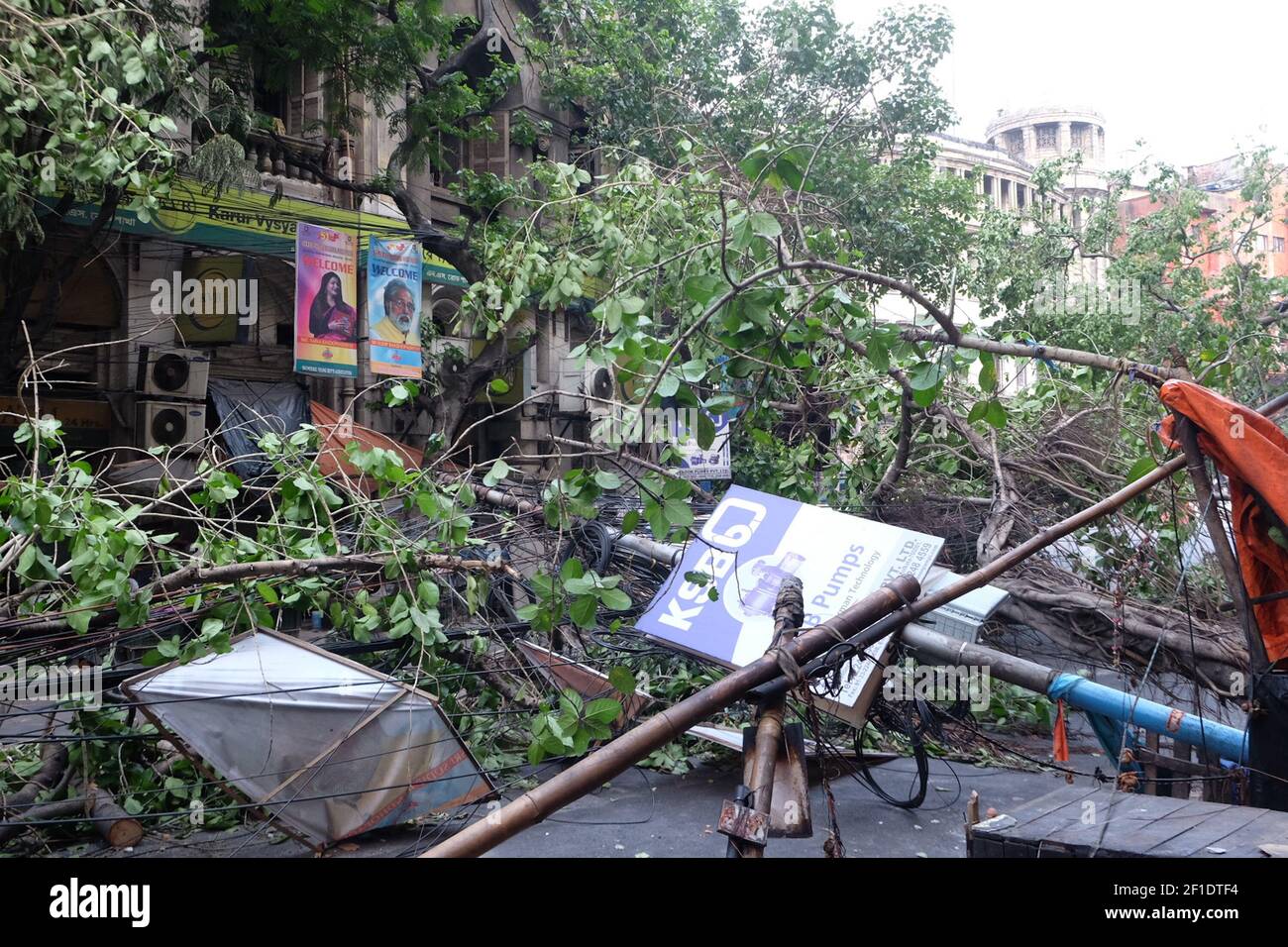 Uprooted trees are seen over the electrical wires in Kolkata, the state capital, authorities struggled to remove debris from roads and clear trees that fell as the cyclone, packing winds of 133 km (83 miles) per hour, pounded the city of 14 million for hours. (Photo by Satyajit Shaw/Pacific Press/Sipa USA) Stock Photo
