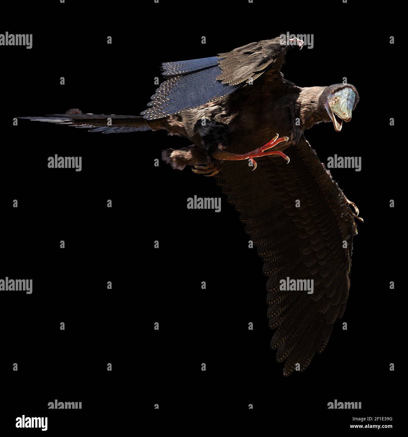 Archaeopteryx, birdlike dinosaur from the Late Jurassic period around