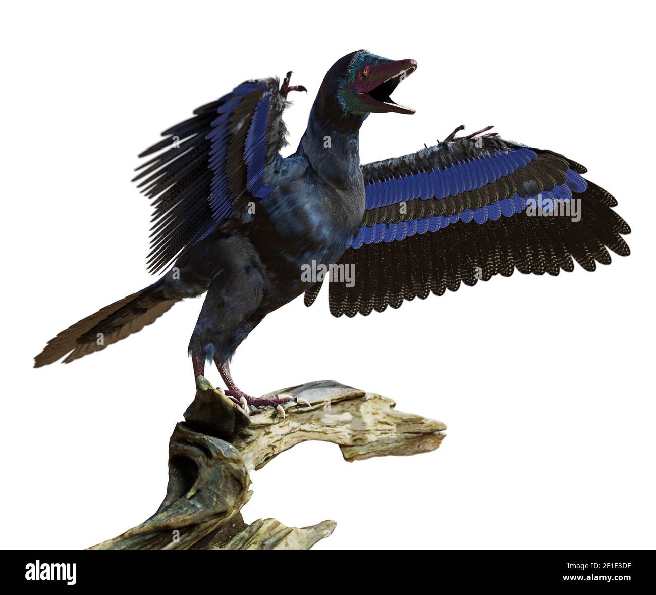 Dinosaur of the late jurassic bird hires stock photography and images