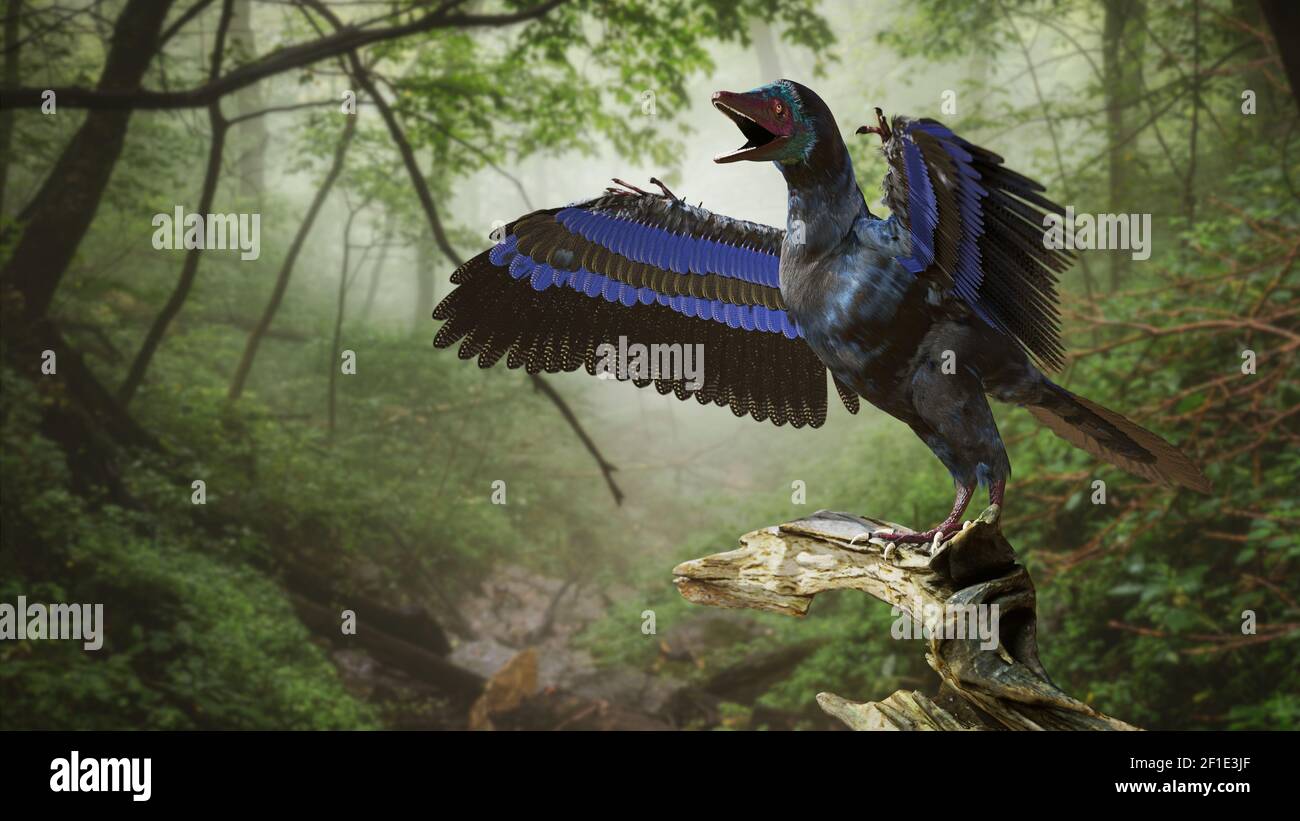 Archaeopteryx flying hires stock photography and images Alamy